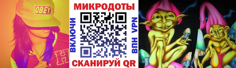 где купить   Елизаветинская  Псилоцибиновые грибы Cubensis 